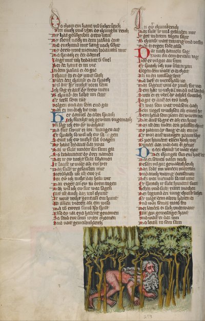 Nebukadnezar als een wild dier door Unbekannt Unbekannt
